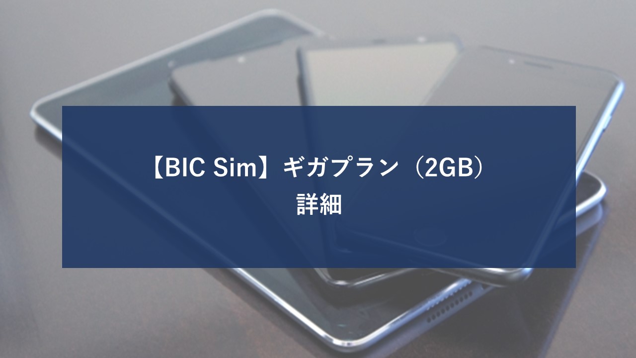 BIC SIM 2GBプランのイメージ