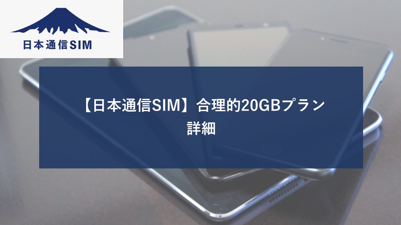 日本通信SIM 合理的20GBプランイメージ